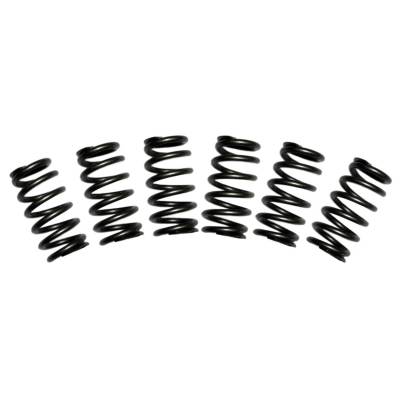 BD Diesel - Valve Spring Kit | BD Diesel (1030060)